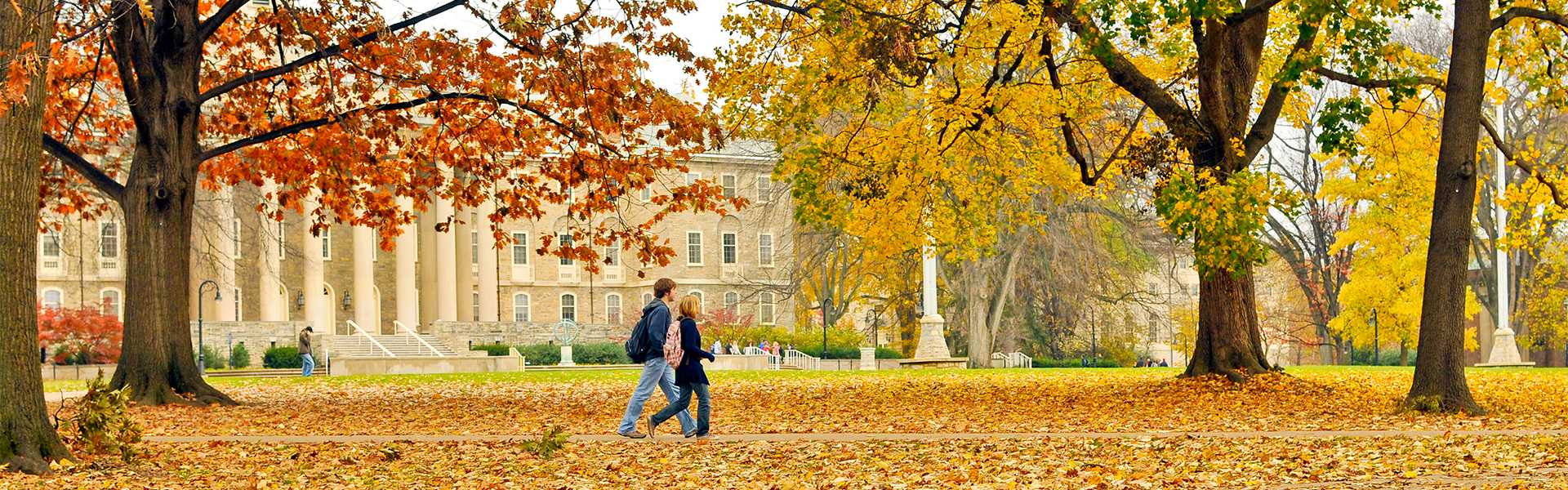 Campus in the fall