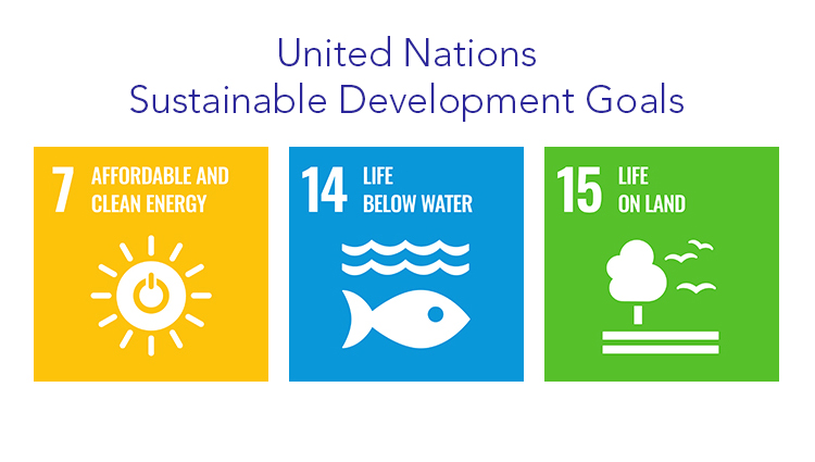 United Nations Sustainable Development Goals